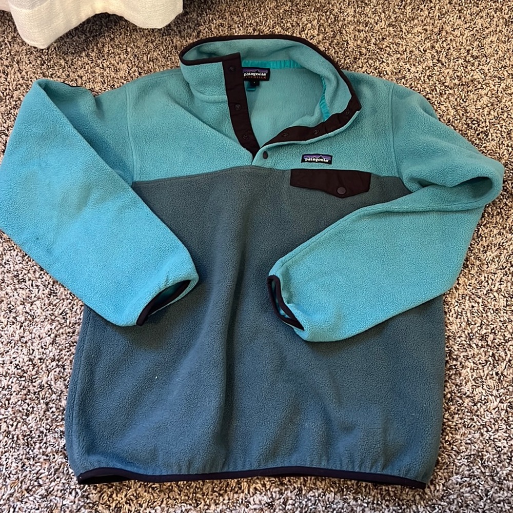 Limited Edition Patagonia Synchilla